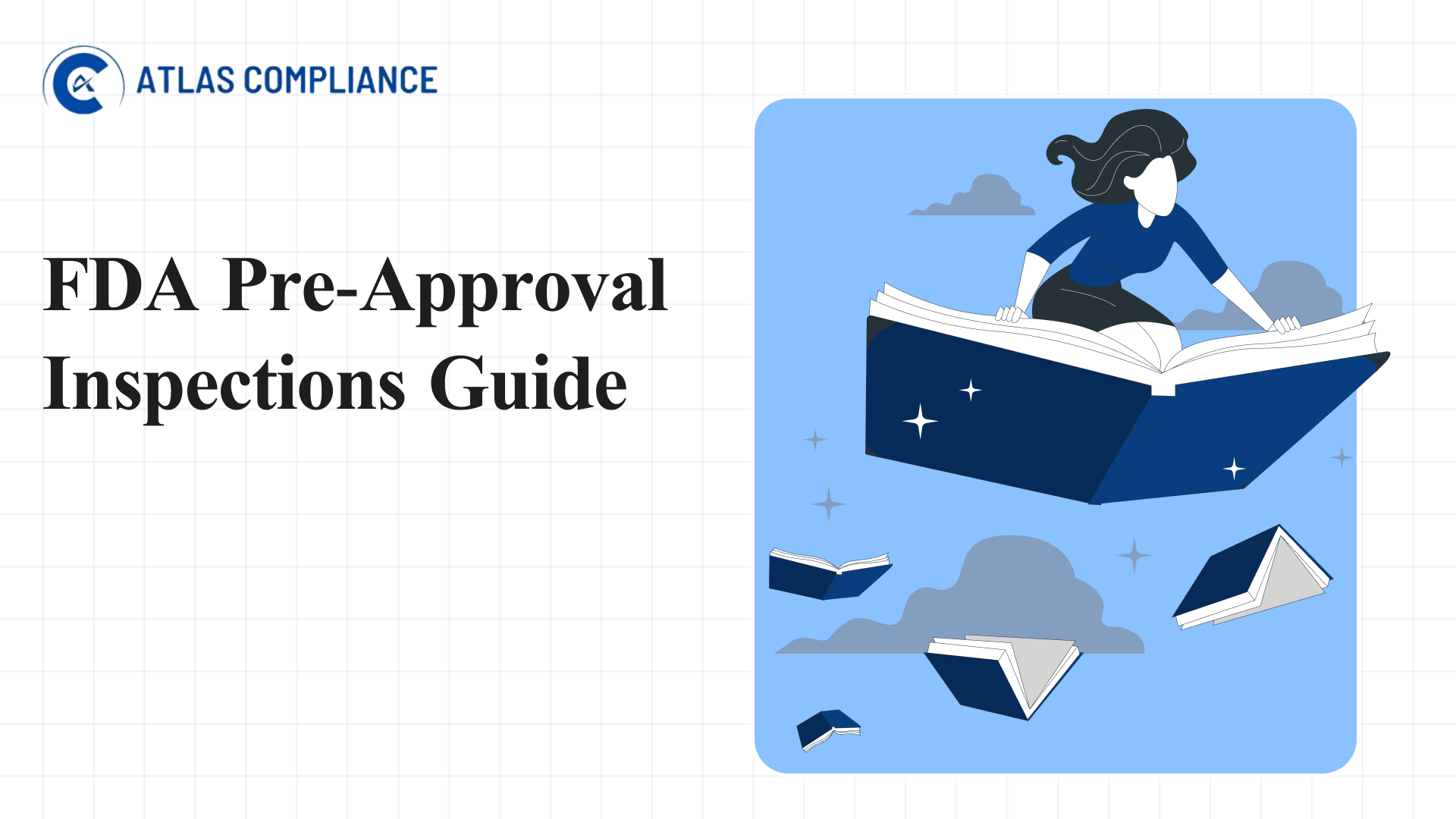 Preparing for FDA Pre-Approval Inspections: A Practical Guide